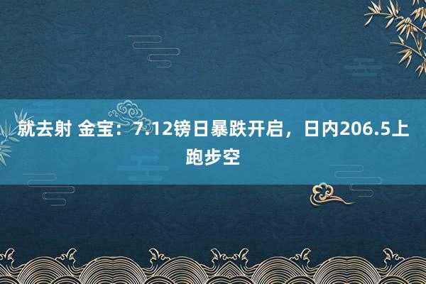 就去射 金宝：7.12镑日暴跌开启，日内206.5上跑步空