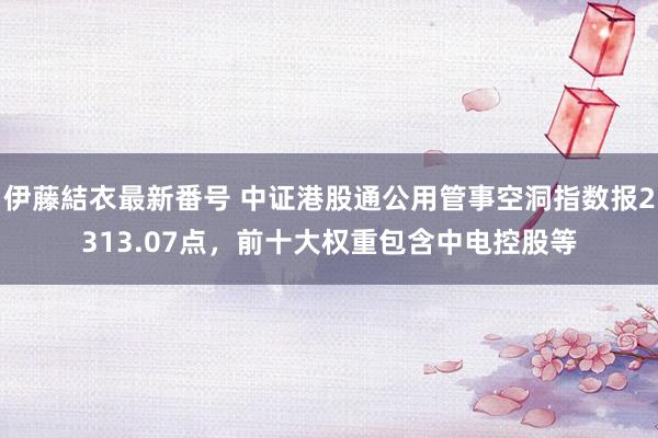 伊藤結衣最新番号 中证港股通公用管事空洞指数报2313.07点，前十大权重包含中电控股等