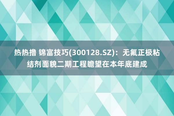 热热撸 锦富技巧(300128.SZ)：无氟正极粘结剂面貌二期工程瞻望在本年底建成