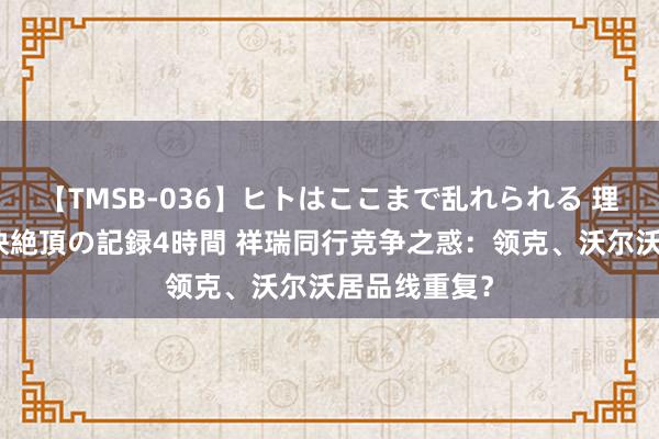 【TMSB-036】ヒトはここまで乱れられる 理性崩壊と豪快絶頂の記録4時間 祥瑞同行竞争之惑：领克