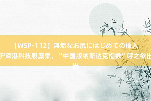 【WSP-112】無垢なお尻にはじめての挿入 沪深港科技股麇集，“中国版纳斯达克指数”呼之欲出