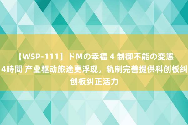 【WSP-111】ドMの幸福 4 制御不能の変態ボディ4時間 产业驱动旅途更浮现，轨制完善提供科创板