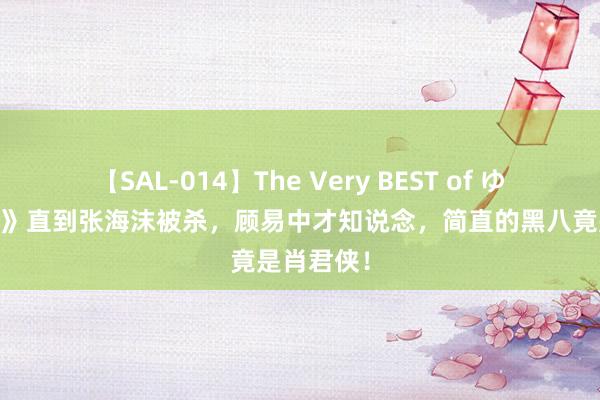 【SAL-014】The Very BEST of ゆか 《孤舟》直到张海沫被杀，顾易中才知说念，简