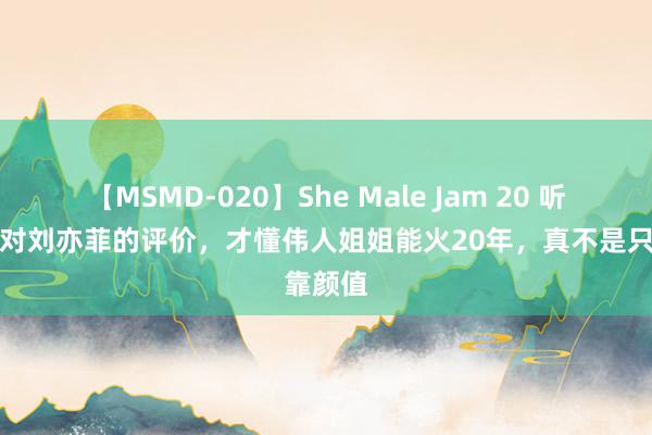 【MSMD-020】She Male Jam 20 听完万茜对刘亦菲的评价，才懂伟人姐姐能火20年，