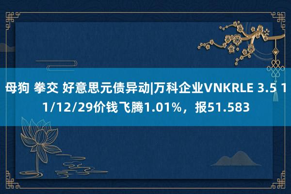 母狗 拳交 好意思元债异动|万科企业VNKRLE 3.5 11/12/29价钱飞腾1.01%，报51