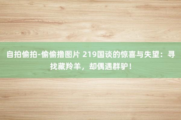 自拍偷拍-偷偷撸图片 219国谈的惊喜与失望：寻找藏羚羊，却偶遇群驴！