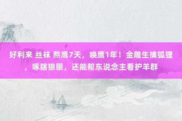 好利来 丝袜 熬鹰7天，唤鹰1年！金雕生擒狐狸，啄瞎狼眼，还能帮东说念主看护羊群