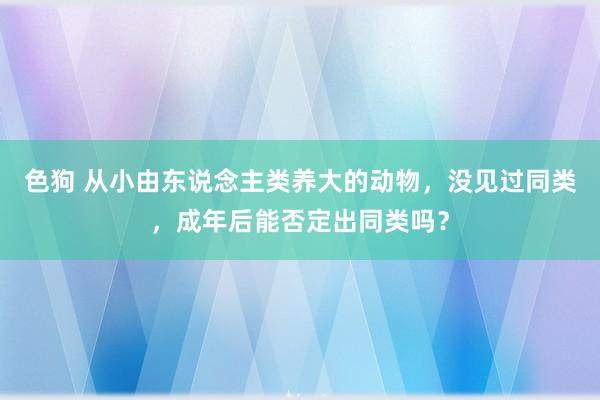 色狗 从小由东说念主类养大的动物，没见过同类，成年后能否定出同类吗？