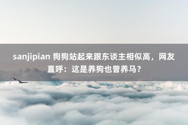 sanjipian 狗狗站起来跟东谈主相似高，网友直呼：这是养狗也曾养马？