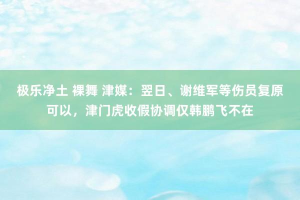 极乐净土 裸舞 津媒：翌日、谢维军等伤员复原可以，津门虎收假协调仅韩鹏飞不在