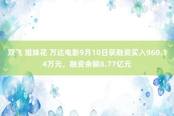 双飞 姐妹花 万达电影9月10日获融资买入960.14万元，融资余额8.77亿元