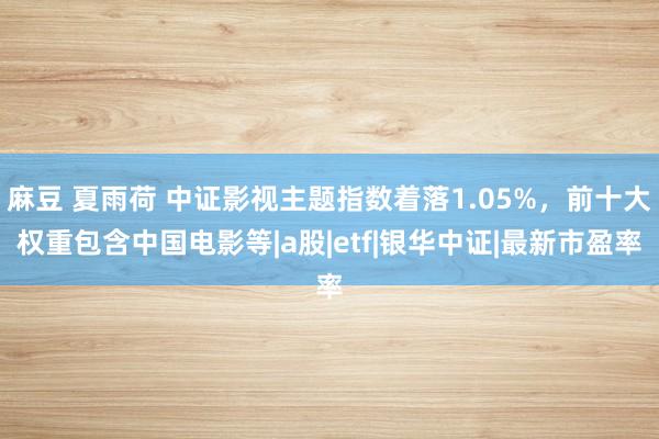 麻豆 夏雨荷 中证影视主题指数着落1.05%，前十大权重包含中国电影等|a股|etf|银华中证|最新