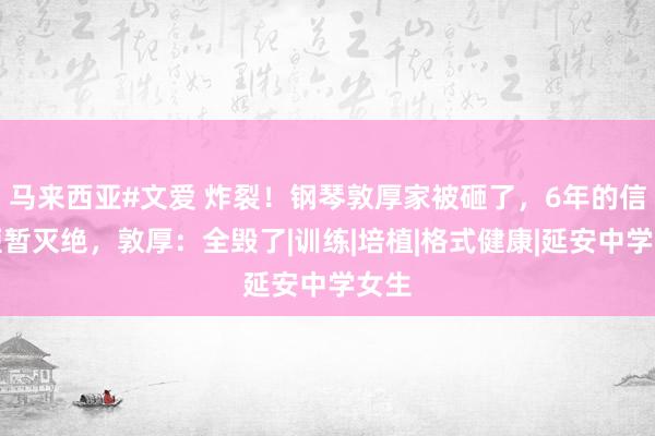 马来西亚#文爱 炸裂！钢琴敦厚家被砸了，6年的信任短暂灭绝，敦厚：全毁了|训练|培植|格式健康|延安