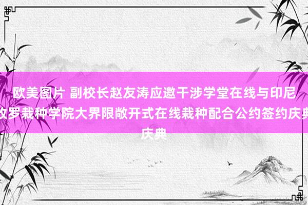 欧美图片 副校长赵友涛应邀干涉学堂在线与印尼收罗栽种学院大界限敞开式在线栽种配合公约签约庆典